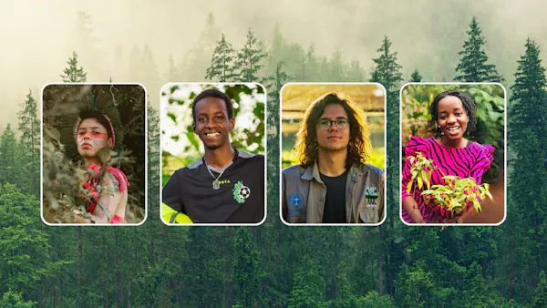Meet four fearless eco-warriors restoring our forests